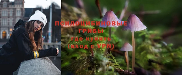 мескалин Алексин