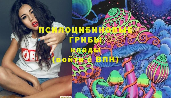прущий лед Алексеевка