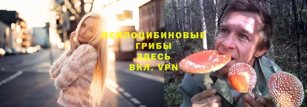 мескалин Алексин